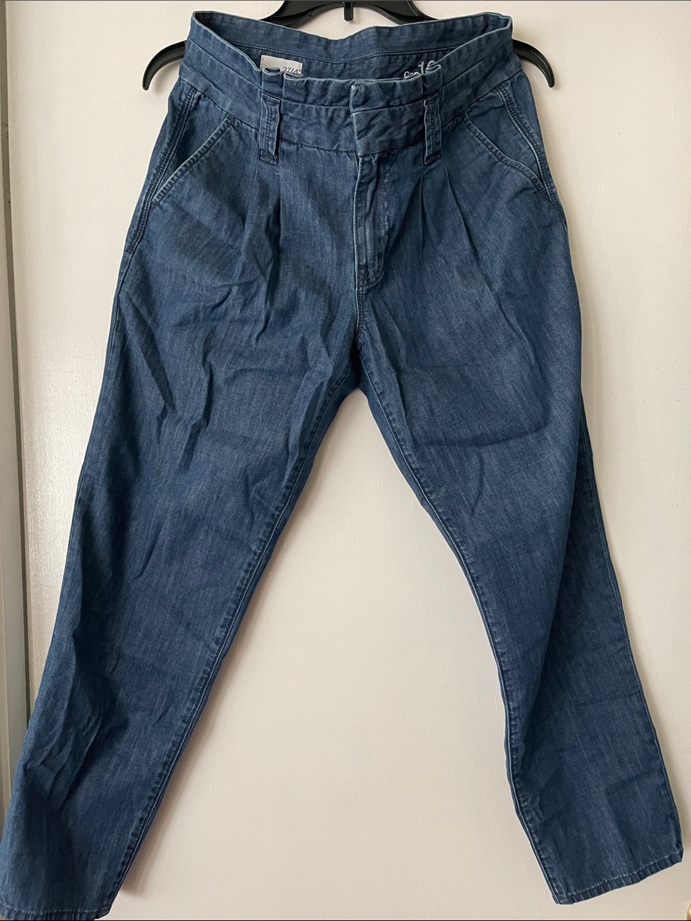 Gap Women's Pleated Blue Denim Jeans